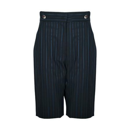 Pinko, Spinetta shorts Blauw, Dames, Maat:S,gestreept