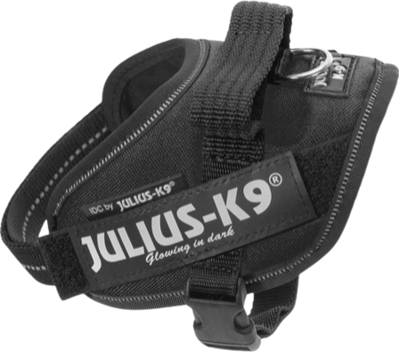 Julius K9 Julius-K9 IDC-Sele Mini-Mini flere farger