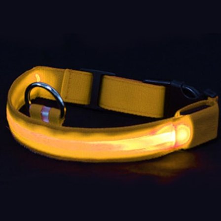 Genopladelig USB LED-halsbånd til hunde - Lys og meget synlig lyshalsbånd til gåture med kæledyr om natten