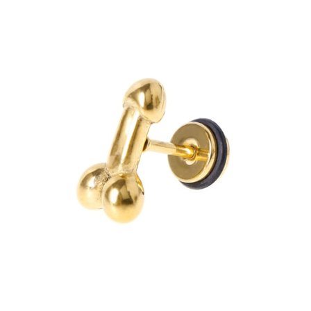 Stilige Ørepynt Unik For Titan Stål Ørepynt Stud Mannlig Smykker Brincos Charms Gull