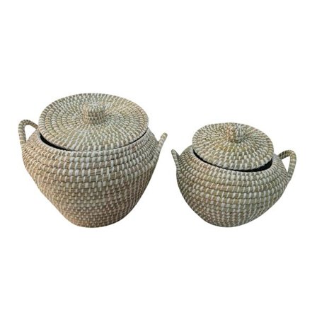Kurvesæt med låg, 2 stk., Kansgrass, 45x45x30 cm