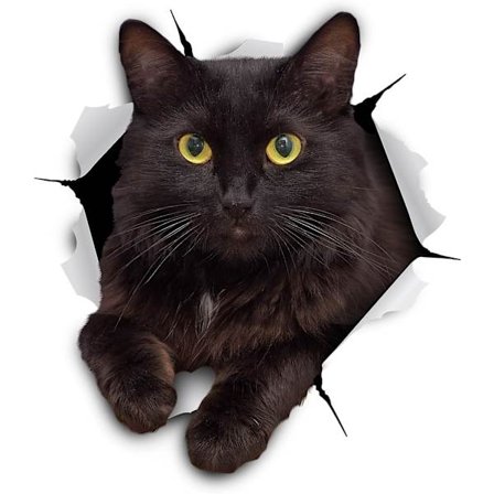 3D Cat Stickers - 5 Pack - Black Cat Wall Decals - Cat Lover Presents - Cat Wall Decals for Sovrum - Kylskåp - Toalett - Bil - Retail Packaging (