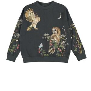 Molo Moonlight Owls Maxi Sweatshirt 104 cm - Jumpers and knitwear - 104 CM - Black - Mädchen