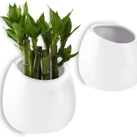 Blomsterpotte Vægmonteret Blomsterpotte Hvid 10cm Keramiksæt med 2 Vægdekoration KLB