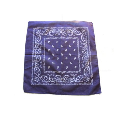 Lila Bandana Paisley Scarf