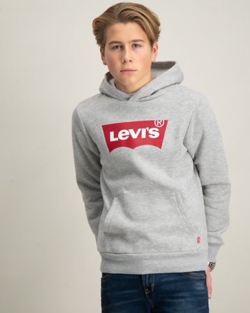 Levi's LVB BATWING SCREENPRINT HOODIE Gris Sweats à capuche Garçon - Kids Brand Store