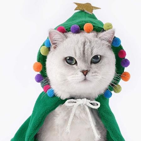 Husdjursdräkt Julkappmantel Med Och Pompoms Katt Tomte Med Tomteluva, Tre Storlekar green L