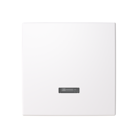 ABB Saga 6543-916-102-510 Centrumplatta vit, Strömbrytare & vägguttag