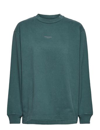 Luring Oslo Ls Sweat-shirt Genser Grønn HOLZWEILER