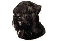 Tysk terrier svart - klistremerker