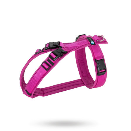 Anny-X - Anny-X Open Fun Hundesele Echinacea - Klassiske hundeseler, step-in, jacket seler, trekkseler, vinterseler & Y-seler på Doggie.no - for store