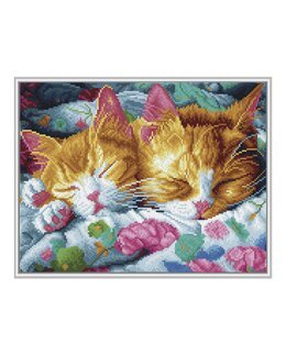 Diamond Dotz Katzenkuschel