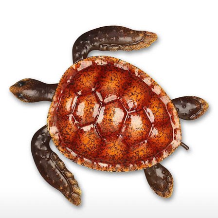 Värikäs pieni kilpikonna seinävaja Pehmeä sisustuskoristeet Seinäkoriste Seinätaide