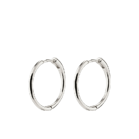 Pilgrim Eanna Earrings Smycken & klockor Dam Silver ONESIZE