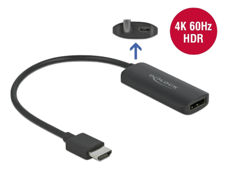 Delock video/audio-adapter - DisplayPort / HDMI - 24 cm