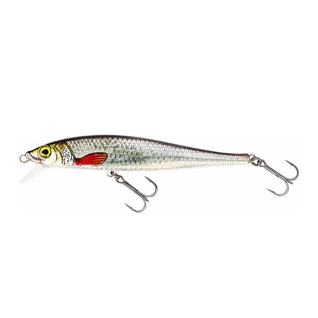Westin Jerkbite Sr 17cm, 47g Suspending - Real Roach
