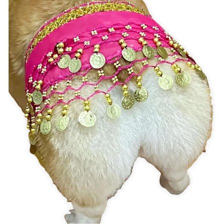 Hundeklæder Mavedans Nederdel – Taljekæde & Hofteslør med Pailletter til Hvalpe & Små Hunde, Sjovt Kostume_TF_TF