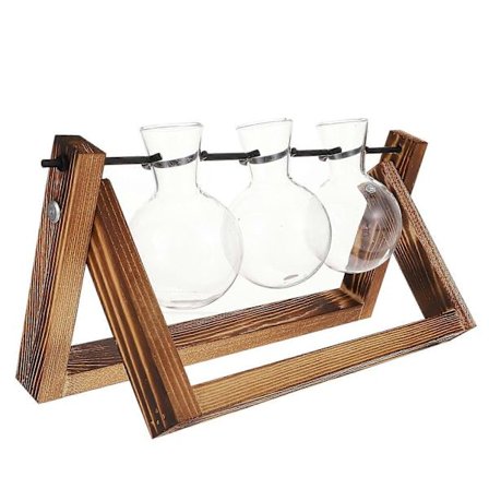 1 Set Lökvas Vridbar Hållare Vattenväxt Lökterrarium med Träställ