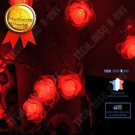 LED-ljusgirlang - TD - 2,5M - Färgade Rosor - Inomhus - Batteri Energikälla