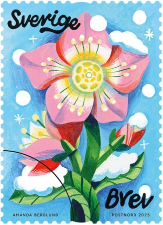 Sverige - Julerose - Postfrisk rullefrimærke