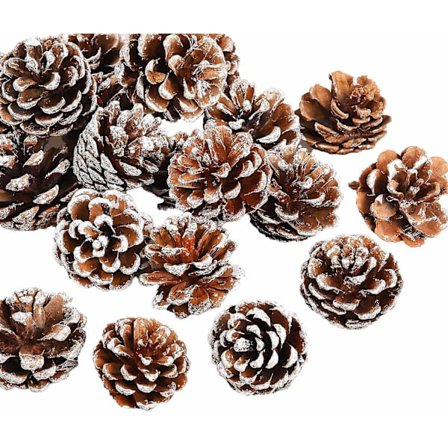 20 kpl Joulukuusen käpyjä Lumi Rustiikki Kuivattu Talvi Koriste