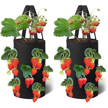2 Pakker Jordbær Dyrkningsposer, 3 Gallon Åndbar Plantepose Med 12 Side Dyrkningslommer Håndtag Til Havejordbær, Urter