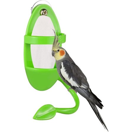 Fuglestand Pinde, Papegøje Blæksprutte Skelet Fuglestand Pinde, Papegøje Hængende Frugt Feeder Grøntsagsholder, Fuglebur Fodringstilbehør til Parakit