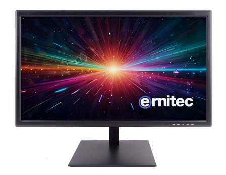 ERNITEC 19" Surveillance monitor for