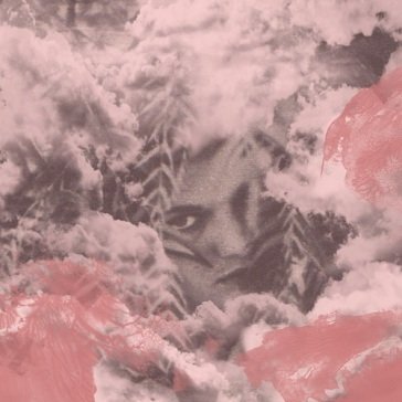 Velvet changes DOG BITE