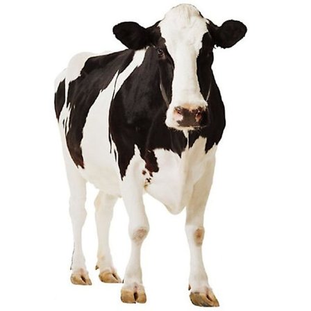 Ko - Livsstor Kartongutskärning / Ståställ