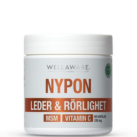 WellAware Nypon MSM Vitamin C 90 Kapslar