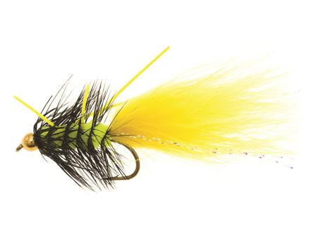 Dog Nobbler Tiger Kamasan B170 #4