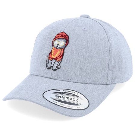 Kiddo Cap - Grå adjustable Keps - Hoodie Cat Patch Heather Grey Adjustable @ Hatstore