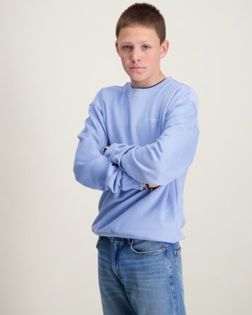 Tommy Hilfiger MINI CORP C-NECK SWEATSHIRT Bleu Pulls Garçon - Kids Brand Store