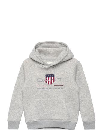 Archive Shield Raglan Hoodie Tops Sweat-shirts & Hoodies Hoodies Grey GANT