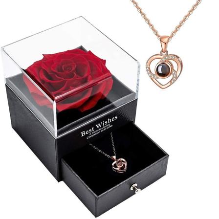 Bevarad äkta ros med kärlekshalsband på 100 språk presentset, förtrollad äkta rosblomma för alla hjärtans dag årsdag bröllop födelsedag romant