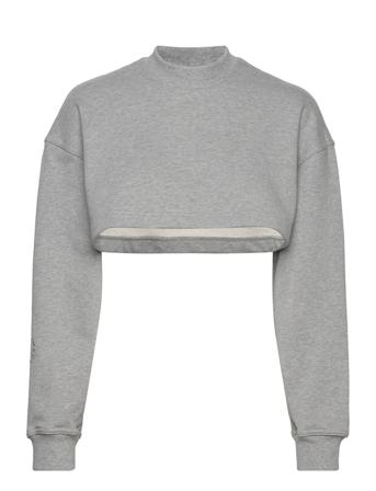 Asmc Cr Sw Sh Sweat-shirt Genser Grå Adidas By Stella McCartney*Betinget Tilbud