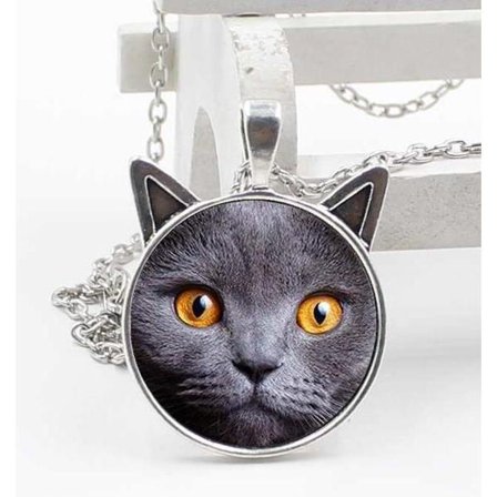 Halsband Katt Brittiskt Korthår Öron Cat