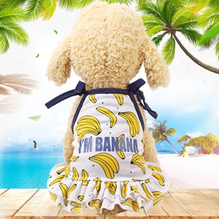 Husdjurskläder Kjol Kattväst Randigt Hängande mesh Vår och sommar Teddy/Pomeranian Skirt-banana S
