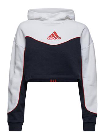 Essentials Colorblock 3-Stripes Hoodie W Patterned Adidas Performance