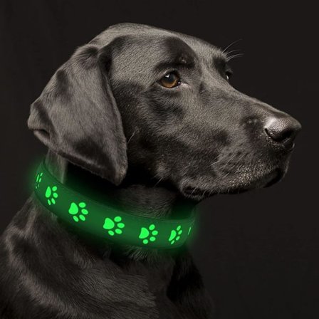 Ljus upp hundhalsband, laddningsbart LED-hundhalsband med långvarigt batteri - Blinkande PVC-läder