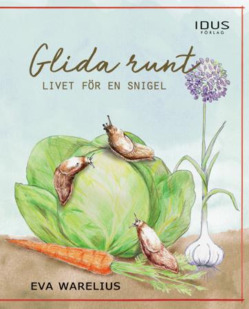 Glida runt : livet för en snigel - Bok av Eva Warelius - Inbunden