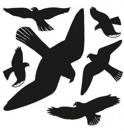 Herma Fensterdecor Warnvögel 30x30 cm