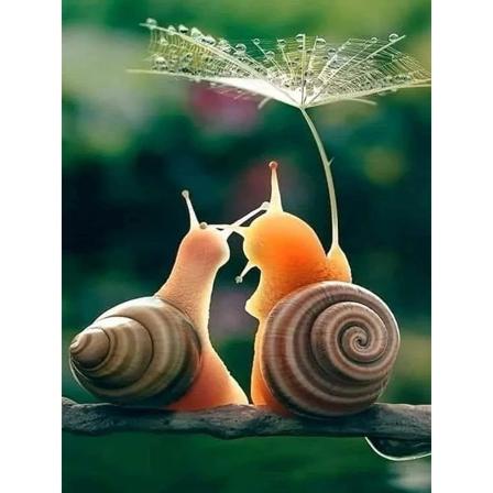 Timanttimaalaus, 30x40cm Timanttimaalauskuvat DIY 5D Timantti