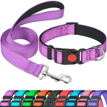 Reflekterande Hundhalsband med Säkerhetslås, Justerbar Nylon
