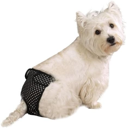 ClearQuest - CQ Female Pup Pants Tispetruse - Svart - Markeringsbeskyttelse, Tispetruse, Hjemmeapotek på Doggie.no