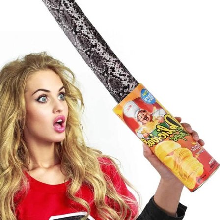 Rolig potatis chips burk hopp vår orm mört leksak