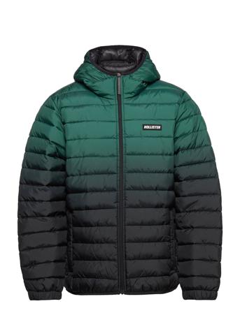 Hco. Guys Outerwear Green Hollister