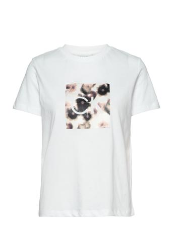 Blurred Flower Ck T-Shirt T-shirts & Tops Short-sleeved Hvit Calvin Klein