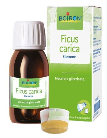 Ficus Carica Macerato Glicerico 60ml